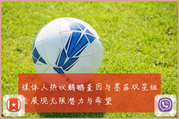 媒体人热议鹈鹕奎因与墨菲双星组合展现无限潜力与希望
