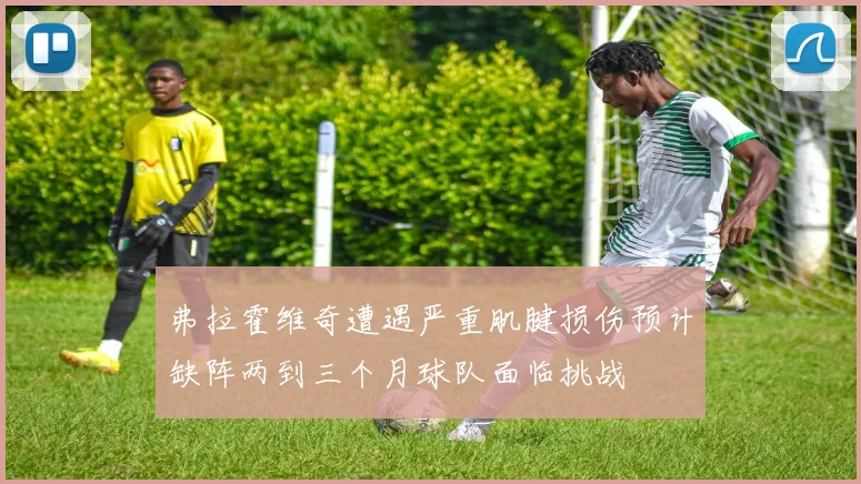 弗拉霍维奇遭遇严重肌腱损伤预计缺阵两到三个月球队面临挑战