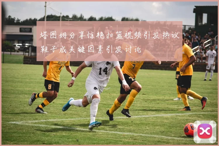塔图姆分享惊艳扣篮视频引发热议鞋子成关键因素引发讨论